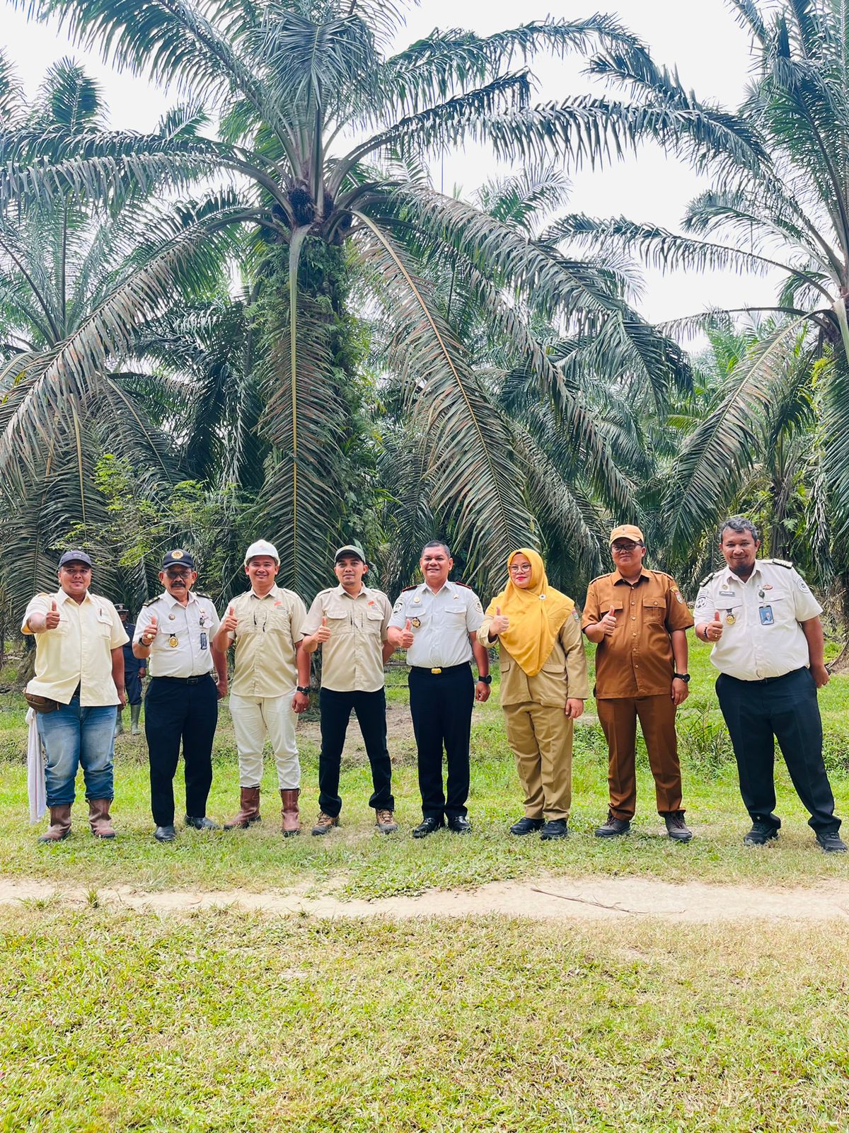 Optimalisasi Aset Negara, Kalapas Labuhan Ruku Tinjau Lahan dan Rencana Penumbangan Sawit di Air Joman