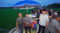 Dukung Ekonomi Kreatif Tingkat Desa, Bupati Batu Bara Kunjungi Sawah Viral Bahagia