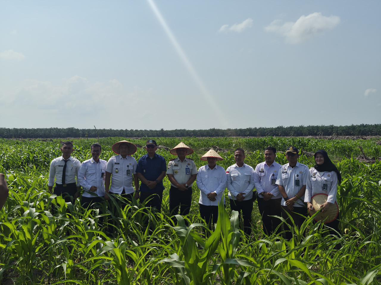 Dirpamintel Ditjenpas Tinjau Ketahanan Pangan di Lahan Air Joman dan Monev Lapas Labuhan Ruku, Pengamanan Sesuai SOP dan Pertanian Produktif Tuai Apresiasi