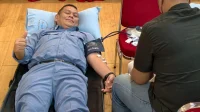 INALUM Sambut HUT RI ke-81 dengan Aksi Donor Darah, Himpun 626 Kantong Darah