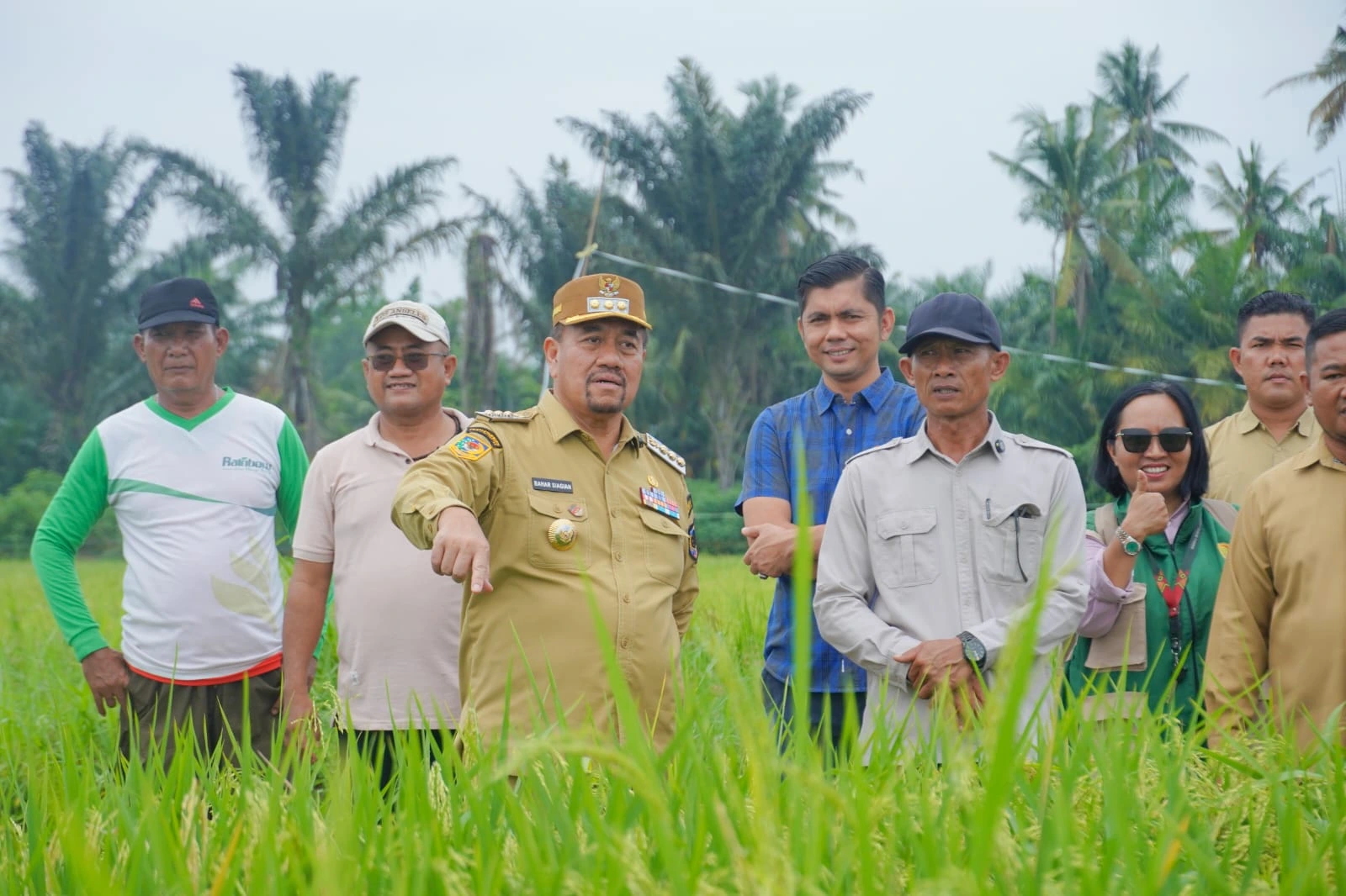 Dorong Penerapan Pertanian Modern, Bupati Batu Bara Tinjau Persawahan PM-AAS di Desa Suka Raja